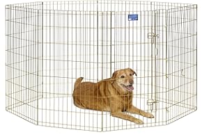 MIDWEST HOMES FOR PETS MidWest modelo 546-42 Parque o corralito para perros, metálico y plegable, 60,96 x 106,68 cm (ancho x alto), acabado en zinc dorado