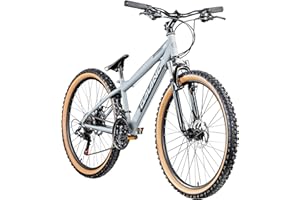 ‎GALANO Galano G600 MTB Dirt Bike 26 Zoll für Erwachsene und Jugendliche ab 145 cm Mountainbike mit Federgabel Crossbike 18 Gang Kettenschaltung