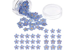 Nuanchu 50 Fiori Pressati Secchi Naturali Non Ti Scordar di Me Fiori Secchi per Resina per Gioielli Candele Fabbricazione di Carte Ornamenti in Resina DIY Decori Manicure Floreali