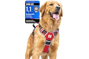 Hundvän hundsele för stora hundar – reflekterande, vadderad och justerbar – anti-dragsele med handtag och 3 säkerhetslås – säker promenad och körning – (XL)