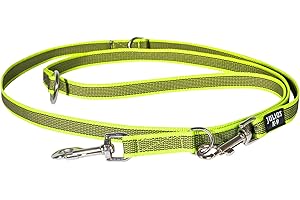 JULIUS K-9 Julius-K9 216GM-NE-DP Laisse antidérapante Color & Gray, réglable, 20 mm x 2,2 m, Néon-Gris