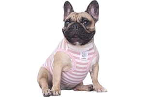 iChoue, Felpa per Cane, per Cani e Carlino Francese, XL, Pink White