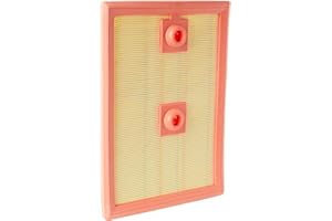 FILTRON AP 062/1 Filtr Powietrza Silnikowego Pomagający Chronić Silnik, Kwadratowy Kształt, do Samochodów