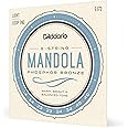 D'Addario EJ72 Light 14-49 Mandola Strings - Phosphor Bronze