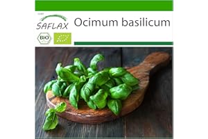 SAFLAX - Ecológico - Albahaca - Dulce Genovesa - 800 semillas - Ocimum basilicum