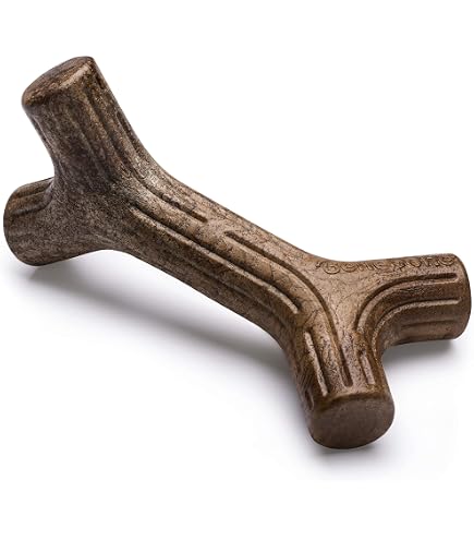 Benebone Hundekauspielzeug „Pumpkin Spice“ – Limited Edition, Für Starke Kauer, Größe M, Aus Nylon