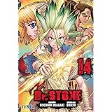 Dr Stone Vol 13 Inagaki Riichiro Boichi Amazon Es Libros