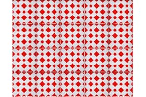 IL MAGHREBINO 20 Mattonelle in Ceramica Smaltata - Stile Marocco (Rosso) - 10x10 cm spessore 0,6 cm - Mattonelle Tunisine realizzate con Serigrafia Artigianale - Adatte a rivestimento