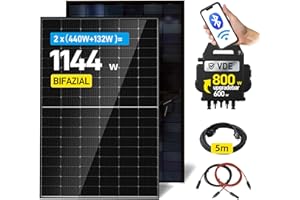 ALLDREI® Balkonkraftwerk 880W/800W mit 2x440W Bifazialer Glas Solarmodule, balkonkraftwerk 800W komplett steckdose, Wechselrichter 800W inkl. Integrierter WLAN&BT, 0% MwSt.