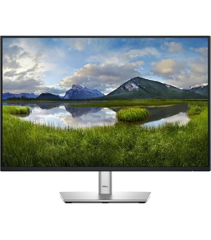 Dell P2419HC USB-C 24 Inch Full HD (1920x1080) Monitor, 60Hz, IPS
