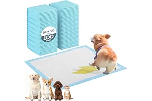 Chumix 100 Pièces Tapis Absorbant Chien, 60X60cm Alaise Jetable Alèse Pipi Propreté Educateur Chien Animaux, Anti-Fuite 6 Couches, Alaise pour Chien pour Chiots, Seniors Âgés et Soins D'incontinence