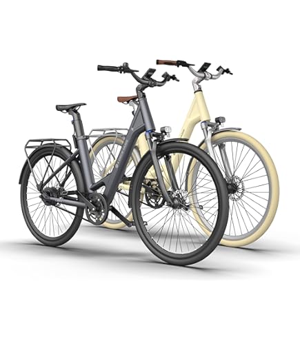 Ebike