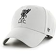 47 Liverpool FC EPL Most Value P. Grey Adjustable Cap