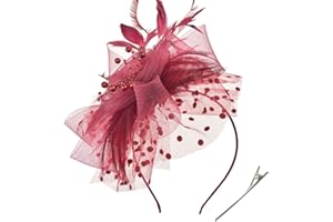 DRESHOW Fascinators Hat Flower Mesh Ribbons Feathers on a Headband and a Forked Clip Cocktail Tea Party Headwear for Girls and Women