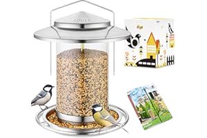 iBorn Metal Bird Feeder for small birds, Easy Clean, Hanging Bird Seeds With Gift Box, 3-Second Refill Bird Feeder, Nickle 6 Port (Seed is not Included)