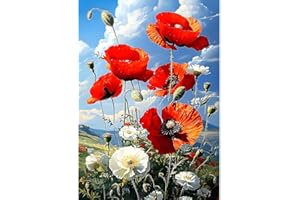 MXJSUA 5D Papaveri Rossi Diamond Painting Kit Completo, DIY Pittura Diamante per Diamond Painting, Fai-da-te Diamond Painting Strass Ricamo a Punto Croce Decorazione per Casa 30x40cm