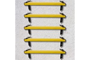 Conjunto de 5 Escalones de Escalada Montados en la Pared ISOP | Escalones Antideslizantes para Pared de Concreto | Escalera Duradera para Casa, Tanque o Pozo | Escalera de Peldaños de Acero Inoxidable