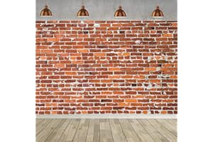 HNMDMYI 3x2.4m Foto Hintergrund Backsteinmauer Rustikale Rote Backstein Fotografie Hintergrund Geburtstag Party Hochzeit Foto Baby Kinder Portraits Graduation Home Dekorationen Banner Photo Booth Requisiten