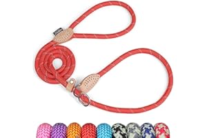Grand Line Correa Adiestramiento Perro, 150 cm Correa de Lazo Perro, Reflectantes y Ajustable Correa de Entrenamiento para Perros Pequeños, Medianos, Grandes (10mm, Roja)