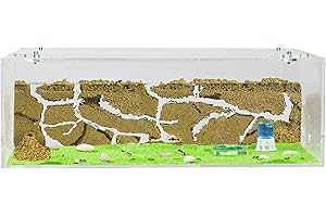 AntHouse - Natural Sand Ant Farm | Acrylic Big Starter Kit 30x15x10 cm