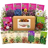Nojus Terrace Garden Seed Set - 15 Varieties - Flower, Herb &amp; Vegetable Seed Kit for Balcony Planters, Patio Containers &amp; Sma