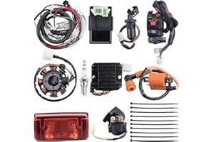 OTOHANS AUTOMOTIVE Complete Electrics Wiring Harness Stator Coil CDI Solenoid Relay Spark Plug Tail Light for 4 Wheelers Stroke ATV （150cc 200cc 250cc 300cc） Pit Dirt Bike Go Kart Zongshen Lifan by