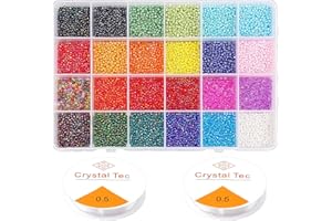 Prettme 12000pcs 2mm 12/0 Glass Seed Beads for Jewellery Making, Friendship Bracelets Kit,Pony Rainbow Small Craft Beads for DIY Bracelets, Necklaces, Earrings
