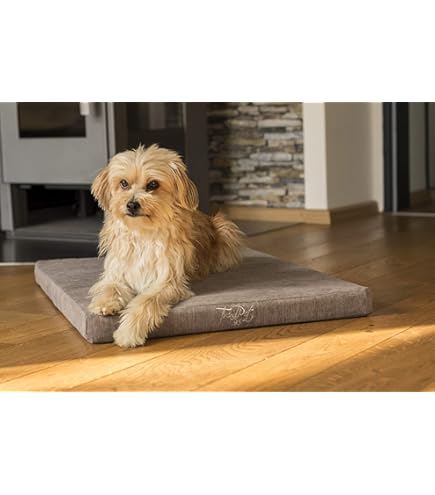 TrendPet VitaMedog Liegematte grau 90x50cm, wasserabweisend für Comfort