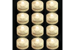 ‎IDYL LIGHT Mini Underwater Light, Warm White Waterproof LED Tea Lights, Battery Operated Flameless Waterproof Pool Light for Vase, Garden, Wedding Decoration, Party, Aquariums, Swimming Pools, Pack of 12