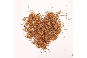 TIER HELDEN BREERs Getrocknete Mehlwürmer 1 Kg Futter für Vögel Fische Nager Reptilien Igel Geflügel