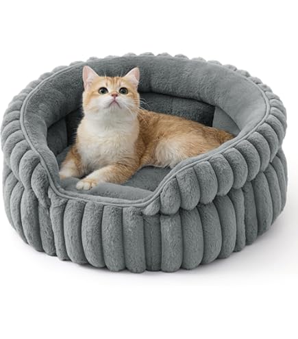 Slaapproducten voor je kat kopen? Snelle levering