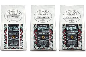 CAFFÈ CORSINI 1950 Caffè Corsini - Cafè en Grains 3x250g Compagnia Dell'Arabica Guatemala Huehuetenango, Mono Origine, D'Agrumes, 750g au Total