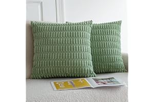 Meider 2 Pieces Sofa Cushion Cover 50x50 cm Boho Decorative Pillowcase for Living Room Couch Sofa Bedroom (50 x 50 cm, Sage Green)