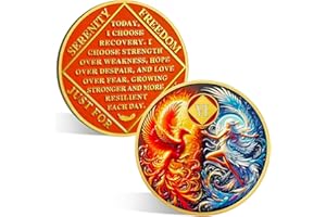 ACGZQY Medallón Na de 6 años – Rebirth Phoenix Fairy Sobriety Chip Sun and Moon NA Monedas y medallones al despertar recuperación adicción token sobriedad afirmación narcóticos regalos anónimos
