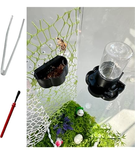 Transparenter Futternapf Für Spinnen - Magnetische Acrylschale Für Terrarium