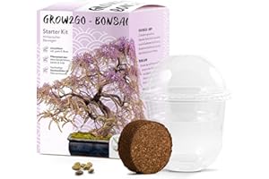 HAPPYSEED GROW2GO Bonsai Kit avec eBook GRATUIT - Bonzai Set avec mini-serre, graines et terre - idée cadeau durable pour les amoureux des plantes (Wisteria)