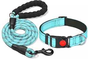 haapaw Reflective Dog Collar Padded with Soft Neoprene Breathable Adjustable Nylon Dog Collars for Small Medium Large Dogs