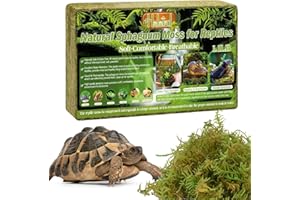 Halatool 500g Premium Grünes Moos, Natural Terrarium Moos Block für Reptiles(Leopardgecko, Schlangen, Hamster, Schildkröten, Frösche, Echsen, Salamander), Safe for Plants & Animals