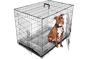 DOG CRATES + DogCrates+ Large Foldable Dog Crate with Bed, 2 Doors Design, Non-Chew Metal, Removable Tray, 36-Inch Black