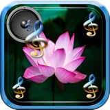 zen Nachricht Musique pour Zen Relax