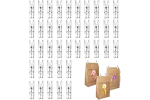 GRVICH 35mm Clear Mini Crafting Pegs, 40 Pcs Transparent Plastic Clips for Hanging Photos, Card, Paper, Arts, Crafts, Pictures, Decoration