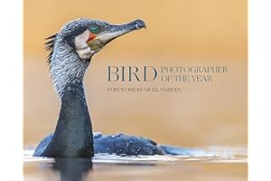 Bird Photographer of the Year: Collection 10