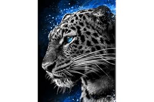 Taasmoog Diamant Malere Kits Malen nach Zahlen Diamant Diamant DIY 5D Diamond Painting Set Painting Bilder Arts Craft für Home Wand Decor 30 x 40 cm (Leopard)