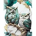 JATOK Malen Nach Zahlen Eule - 40x50cm DIY Leinwand Mit Acrylfarben
