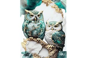 JATOK Paint by Numbers Kits for Adults, Painting Kits for Beginners On Colored Canvas, Easy DIY Acrylic Pigment Drawing Paintwork for Home Wall Decor, 16x20in Frameless, Owl