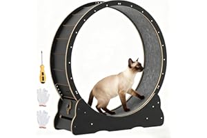 REBONGKI 91cm /100cm Katzenlaufrad für Indoor-Katzen, großes Katzenlaufband mit abnehmbarem Teppich & Schloss, Katzenrad für Gewichtverlust & Gesundheit, Sportspielzeug für Katzen (Schwarz, 100cm)