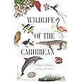 Wildlife of the Caribbean