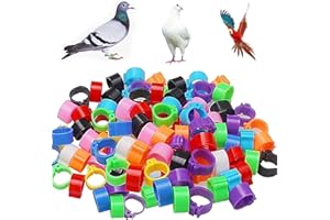 DHER GeflüGel FußRinge Tauben FußRinge HäHnchen Beinringe 100 StüCk 8mm Kein Wort Bajonetterkennung Taubenring, 10 Farben BrieftaubenfußRing TaubenfußRing Kleiner GeflüGelfußRing Markierungsvogel