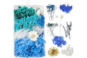 DOG'S BOOTY Trockenblumen zum Basteln Trockenblumen Deko Trockenblumen Klein Getrocknete Blumen Deko Trockenblumen Basteln Trockenblumen Set für DIY Basteln Handwerk Epoxidharz Scrapbooking Deko（Blau） C-047D