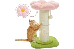 PAWZ Road Flower Katzenkratzbaum - Kleiner Katzenbaum für Indoor-Katzen Mit Super Dickem Kratzbaum [Dia=14cm], Abnehmbares Blumen-Katzenbett, Federball - Rosa